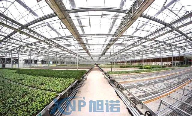 蔬菜温室大棚可以使用黄瓜视频污污污下载做骨架吗.jpg